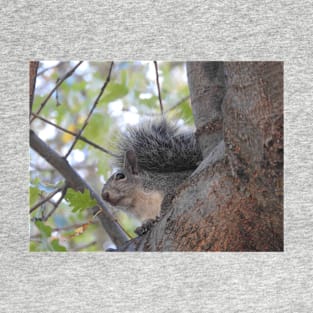 Grey Squirrel, animals, wildlife, nature, gifts T-Shirt